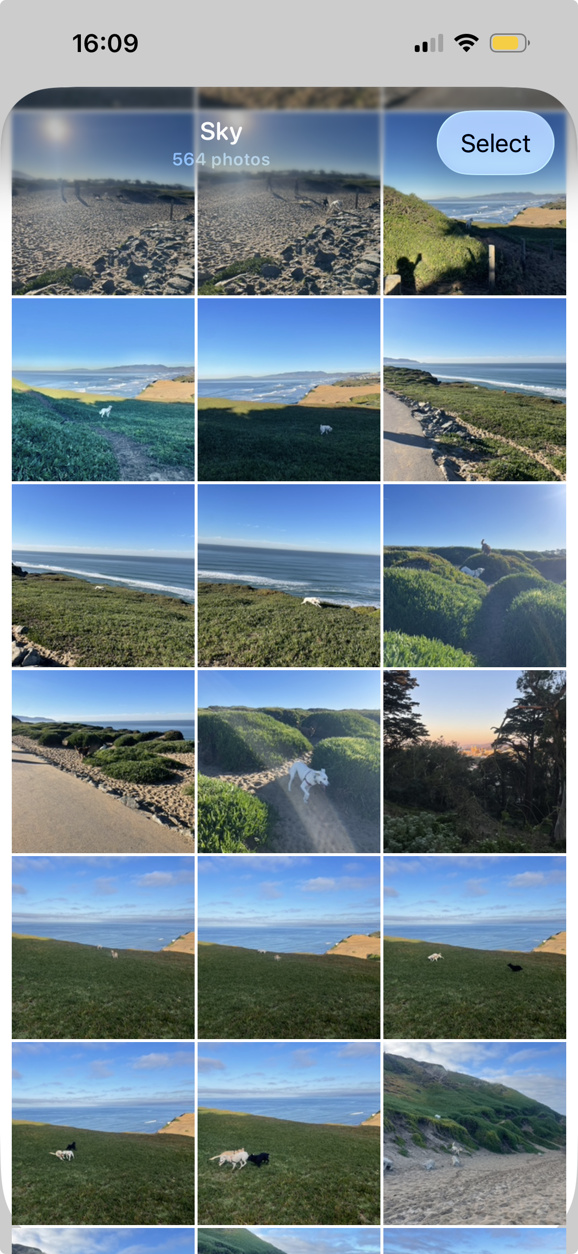 Roll Rewind screen 9