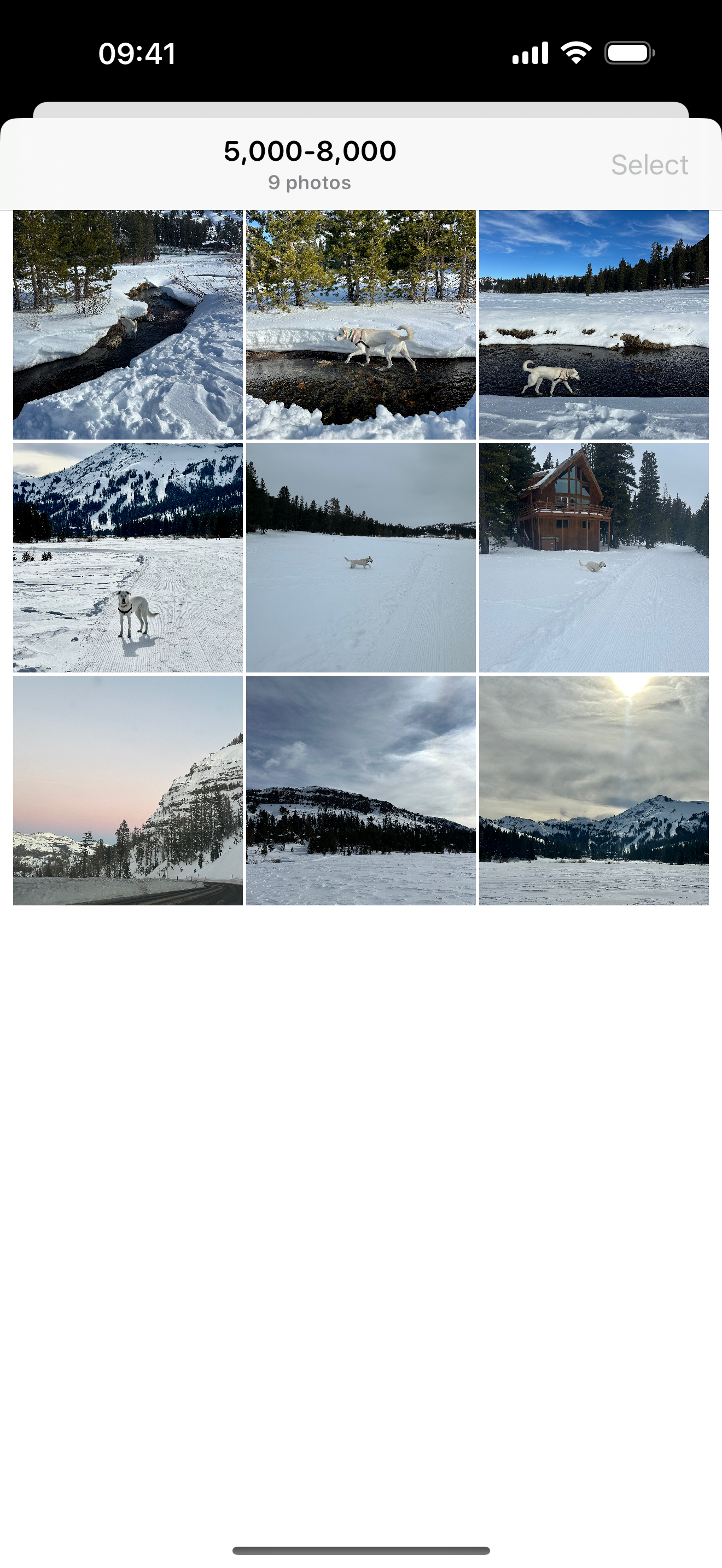 Roll Rewind screen 14